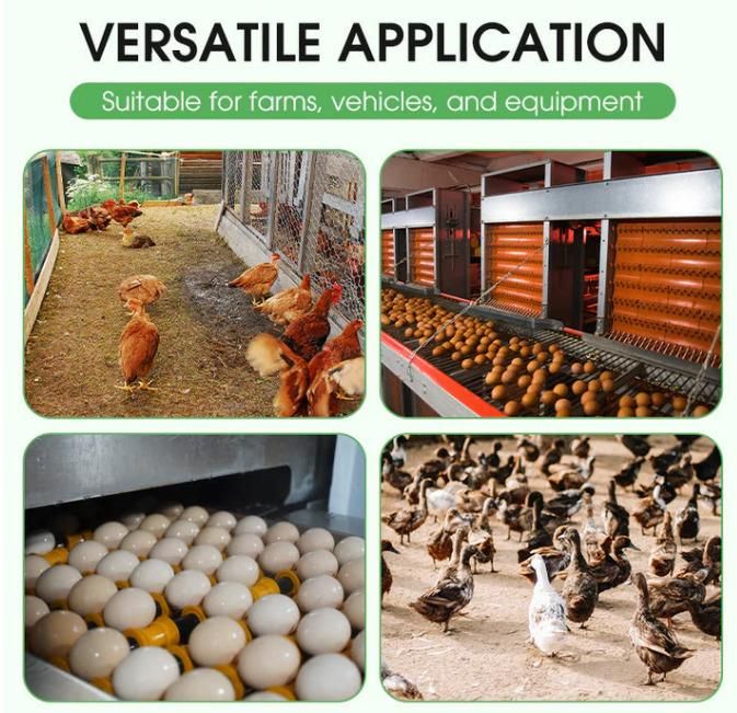 Poultry Farm & Equipment Disinfiecant Powder 200 gm Pack of 2