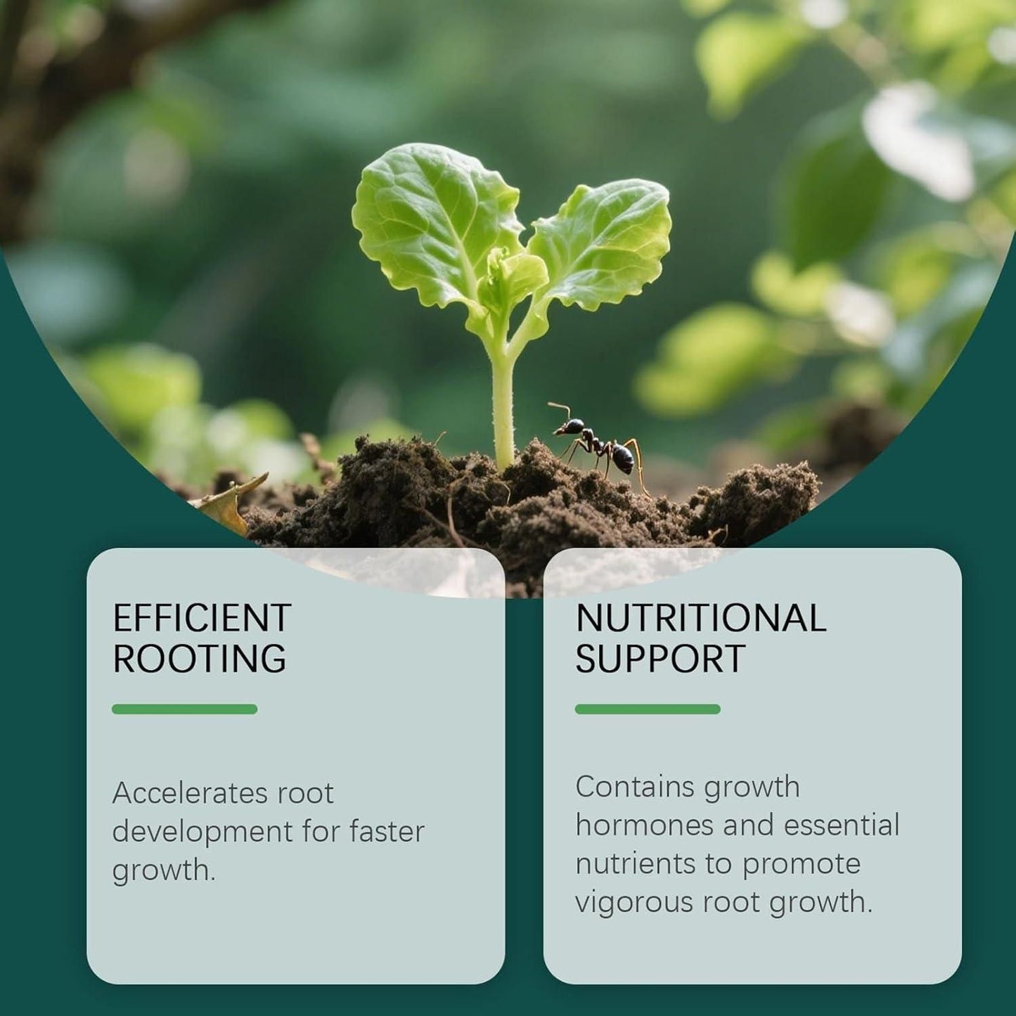 Root Drops 50 ml each Pack of 2